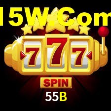 Programa VIP 55B