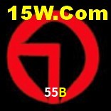 Ofertas Exclusivas 55B